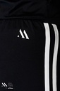 Tracksuit pants